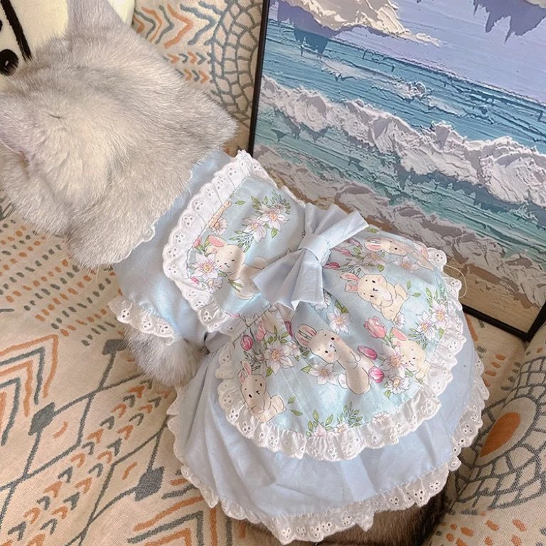Pet Cute Apron Dress Lace Flor - огляд і ціна Lace Teddy Lingerie